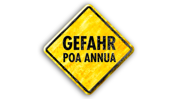 Poa-Annua-DE (1).png